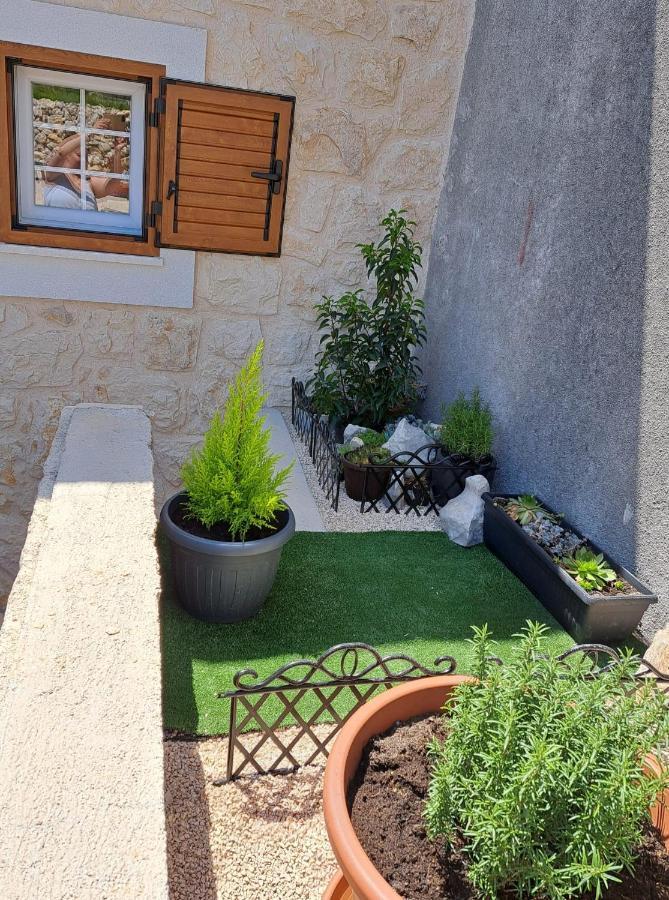 Villa Venkin Dvor 노바야 외부 사진